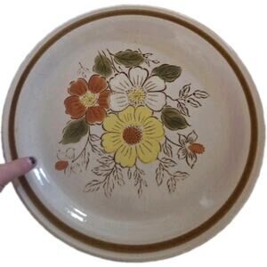 Vintage Old Brook Stoneware "TRAILWOODS" Individual Dinner Plate Japan EUC